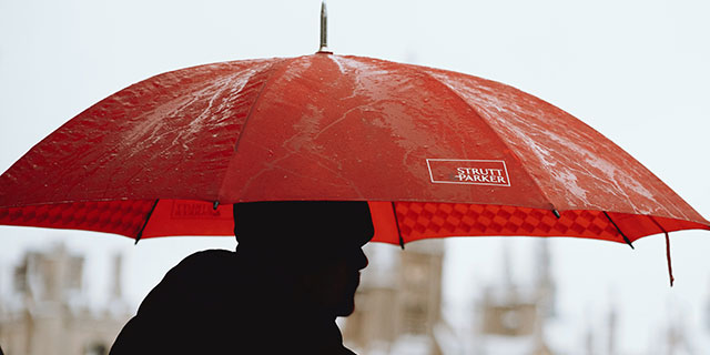 Regenschirme