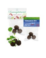 Mini Pflanzkügelchen als Werbeartikel: Verteilen Sie Freude mit den Wonder Balls