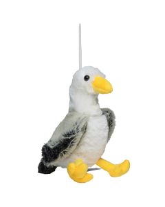 Möwe Jonathan