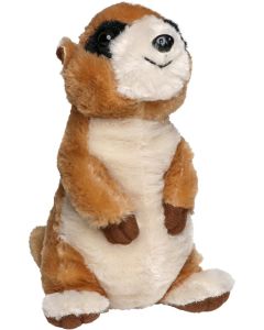 Erdmännchen Jürgen