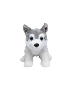 Husky Harri
