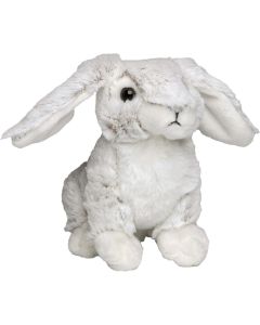 Hase Bettina