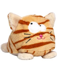 Katze
