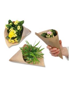 Blumengrüße aus der Mini-Tüte - Minipflanze (inkl. Druck 1/0 fb)