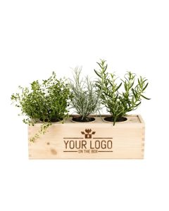 Herbs out of the Box -L