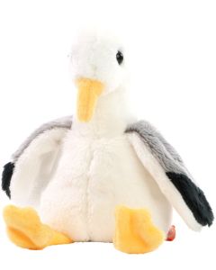 XXL Möwe