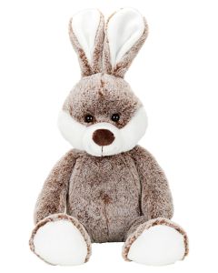 Hase Clemens