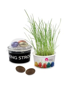 Rasen züchten zu Ostern: Frühbeet als Mini Garten regelmäßig gießen und die Eier im hohen Gras verstecken
