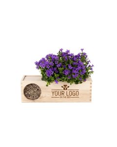 Blooms & Bees out of the Box - L