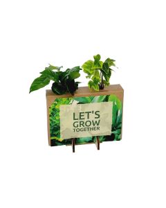 Nature out of the Box - Mini