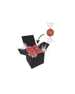 Color Lindor Box - Schwarz