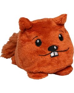 Eichhörnchen