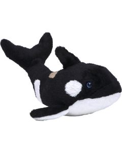 Orca Phil