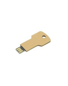 USB Stick Greencard key