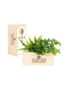 Nature out of the Box - M