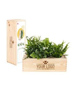 Nature out of the Box - L