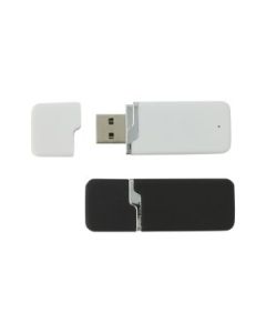 USB Stick PA54S (USB 2.0)