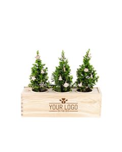 Xmas out of the Box - Xmas deco's