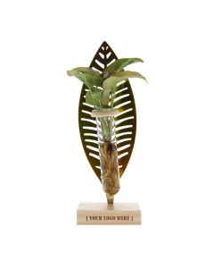 Hydroponische Pflanze Leaf in Geschenkbox