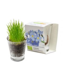 Espresso Glas zu Ostern in Werbeverpackung bedrucken