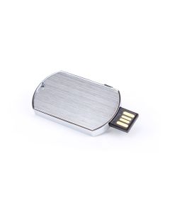 USB Stick Hundemarke
