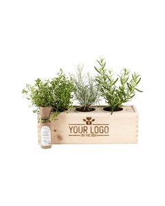 Herbs out of the Box 'Italian flavours'- L