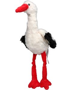 Storch