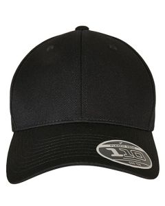 FLEXFIT - Flexfit 110 Curved Visor Snapback
