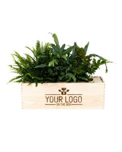 Nature out of the Box - XL