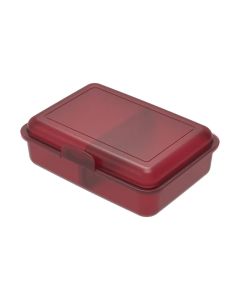 Vorratsdose "School-Box" mittel mit Trennwand