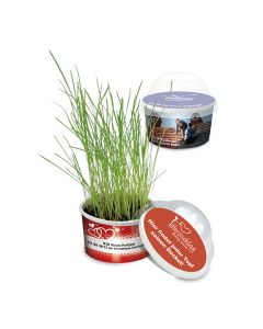 Kleiner Garten als Frühbeet oder Büro-Beet bedrucken als Werbegeschenk