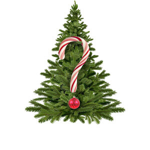 Weihnachtsratgeber